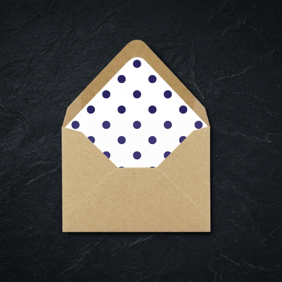 Polka Dot Envelope Liner